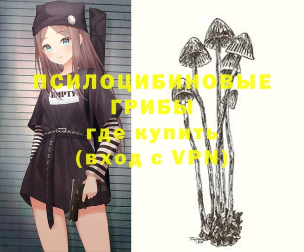 шишки Алзамай
