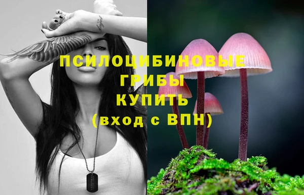 хмурый Алексеевка