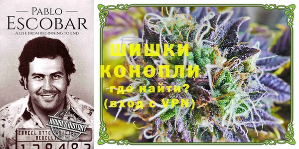 трава Алексин