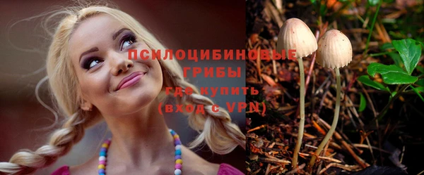 индика Остров