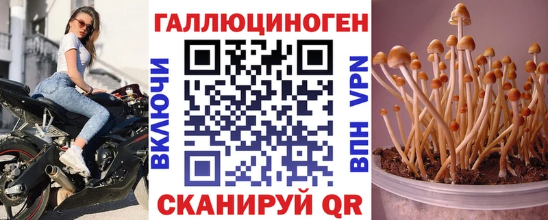 Псилоцибиновые грибы Psilocybe наркошоп Алексин